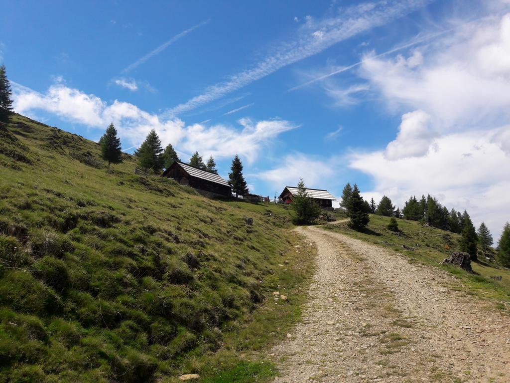 Ferienwohnung Gerti Kalt Lieserhofen Номер фото